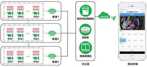 系统方案 系统方案